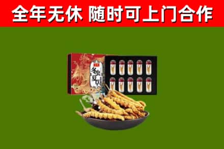 卫辉回收冬虫夏草价格